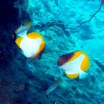 奄美ツアーno27